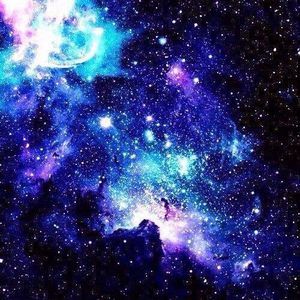 Meet your Posher, Jorge